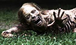walkinDeadPic.jpg